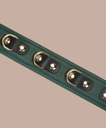 Liefdevolle Ziel Leren Halsband met Lijn – Mosgroen Chic Liebe Seele Mossy Chic green collar with a buckle and a gold-coloured chain leash with a green handle.