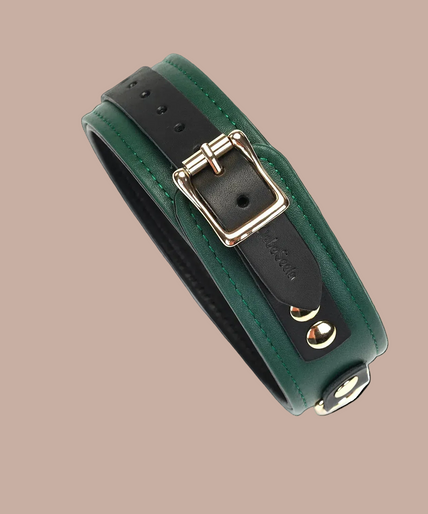 Liefdevolle Ziel Leren Halsband met Lijn – Mosgroen Chic Liebe Seele Mossy Chic green collar with a buckle and a gold-coloured chain leash with a green handle.