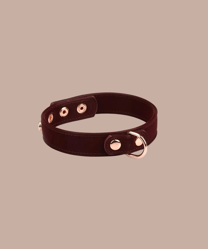 Liebe Seele – Veganer Metallic-Halsband mit Brustwarzenklemmen