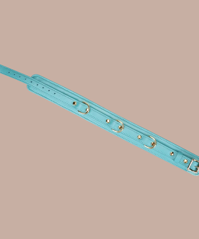 Liebe Seele Siren's Cove Lammlederhalsband mit Samtfutter und Leine – Blau