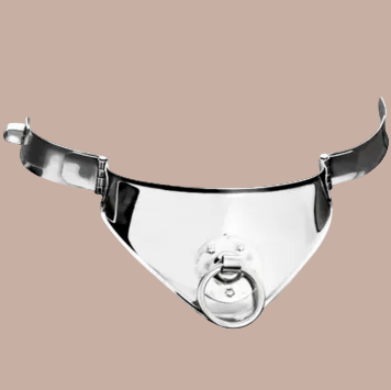 Metaal Hard – Beperkingshalsband met Ring & Hangslot – 12,5 cm Metaal Hard – Beperkingshalsband met Ring & Hangslot – 12,5 cm
