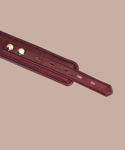 Liebe Seele Luxus-Lederhalsband mit Leine und Schloss – Weinrot Liebe Seele Luxus-Lederhalsband mit Leine und Schloss – Weinrot