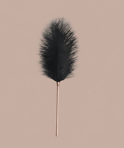 Liebe Seele Luxury Ostrich Feather Tickler – Black with Gold Handle Black feather tickler with slender gold-tone handle, shown vertically.