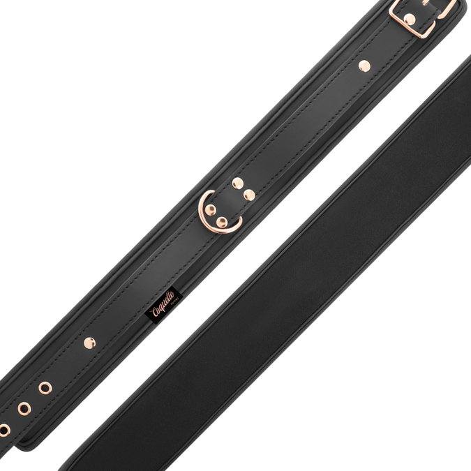 Coquette Chic Desire – Fantasy veganes Lederhalsband mit Neoprenfutter
