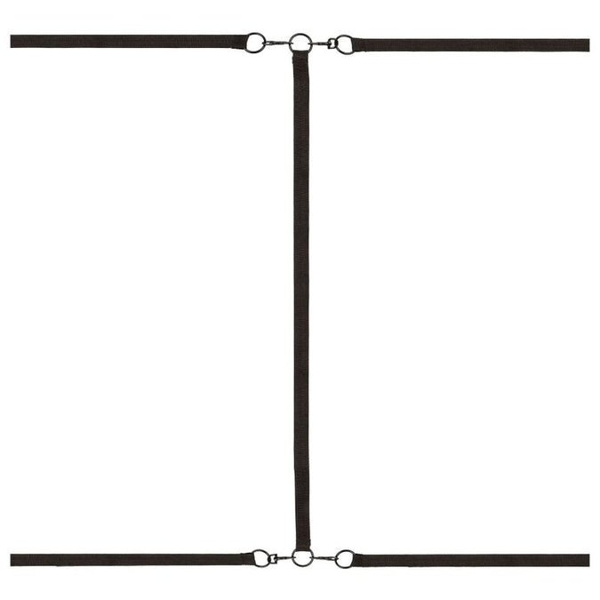 Calexotics – Boundless Red Restraint