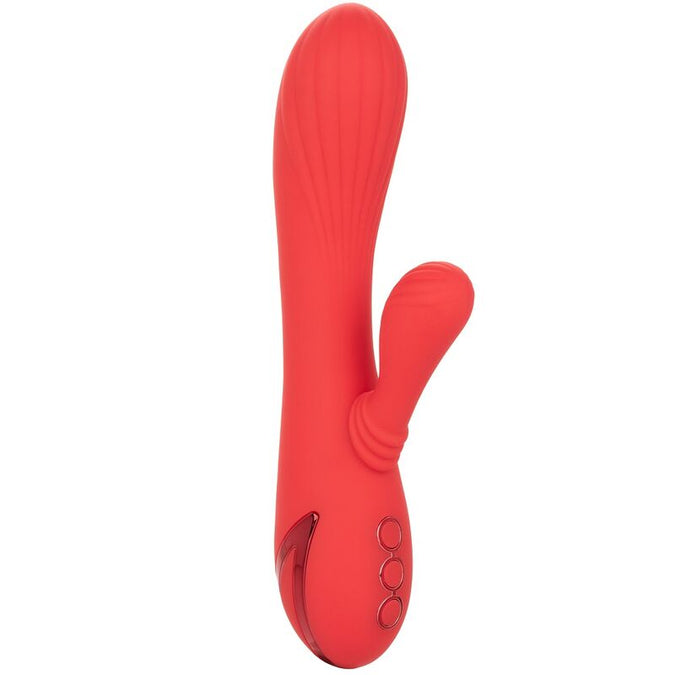 Calexotics – Palisades Leidenschaft Rot