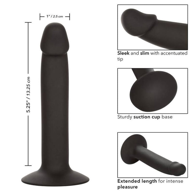 Calexotics – Slim Anal Stud