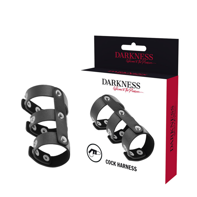 Darkness – Verstellbarer Leder-Doppel-Penis- und Hodengürtel