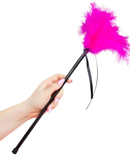 Secretplay – Rosa Federn 40 Cm Secretplay – Rosa Federn 40 Cm