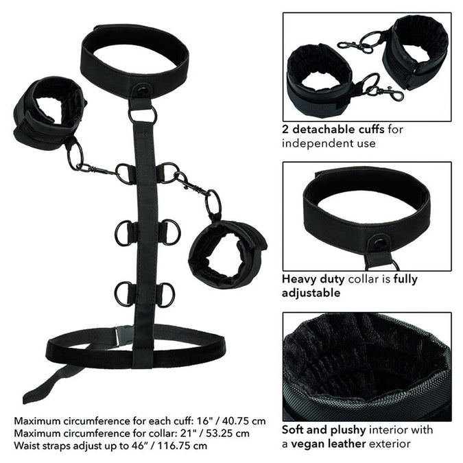 Calexotics – Boundless Halsband Körperfessel