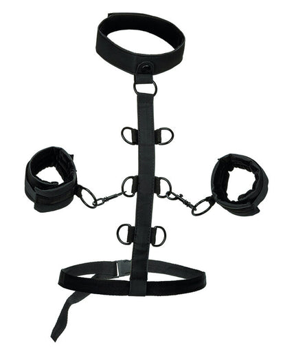 Calexotics – Boundless Halsband Körperfessel Calexotics – Boundless Halsband Körperfessel