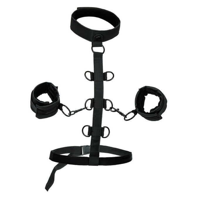 Calexotics – Boundless Halsband Körperfessel