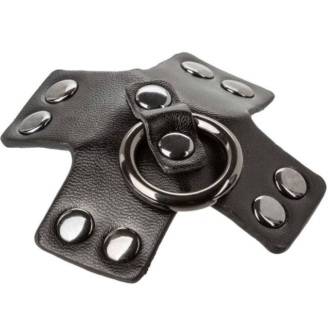 Calexotics – Euphoria O – Ring Black