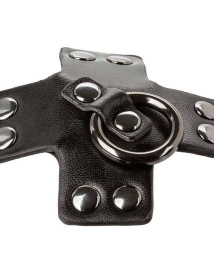 Calexotics – Euphoria O-Ring Schwarz Calexotics – Euphoria O-Ring Schwarz