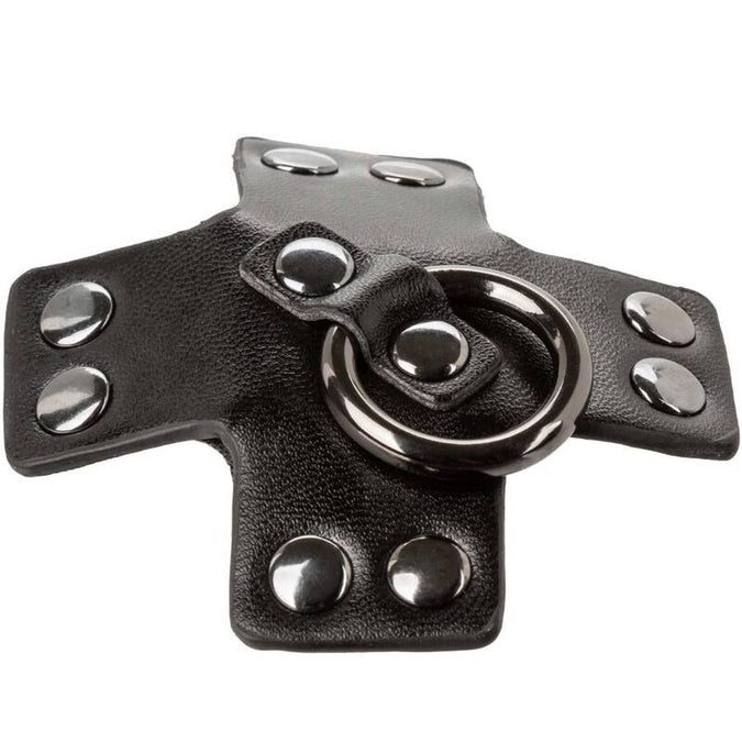 Calexotics – Euphoria O – Ring Black