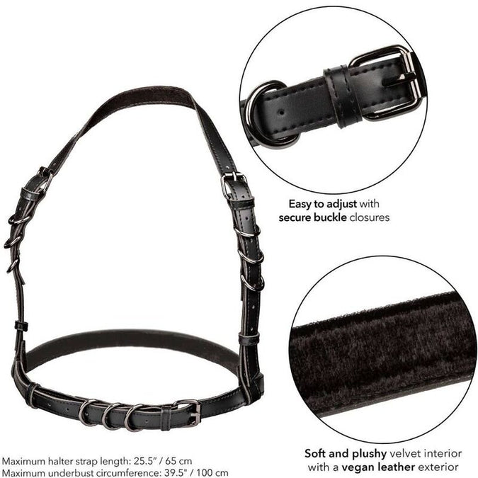 Calexotics – Euphoria Halter Bügel Harness Schwarz