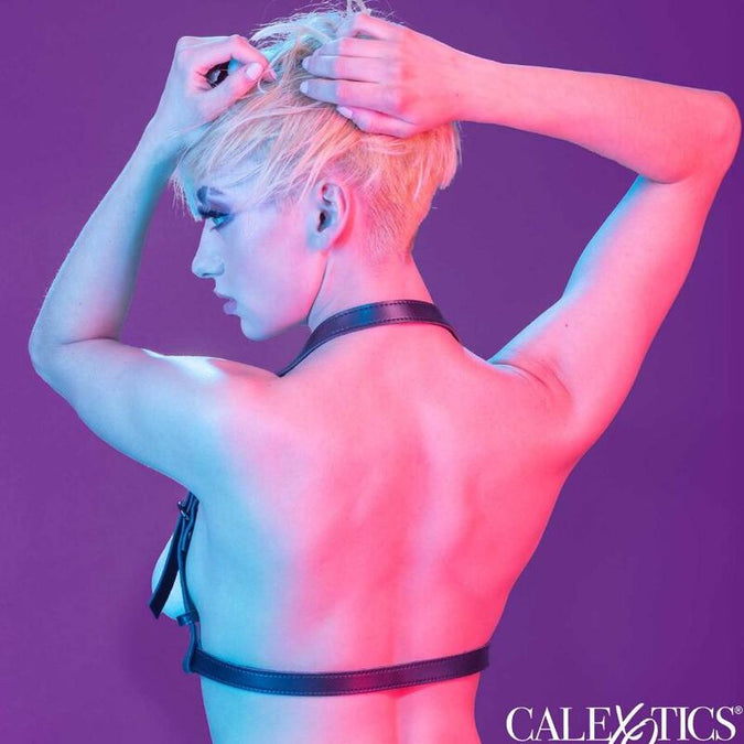 Calexotics – Euphoria Halter Bügel Harness Schwarz