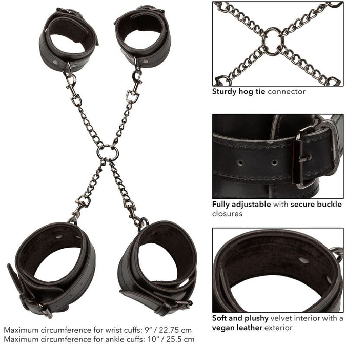 Calexotics – Euphoria Hog Tie