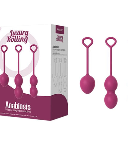 Armony – Anabiosis Vaginal Dumbbell 3 Levels Burgundy Armony – Anabiosis Vaginal Dumbbell 3 Levels Burgundy