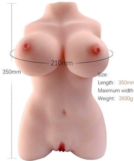 Armony – Realistic Female Torso Model 3 Armony – Realistic Female Torso Model 3