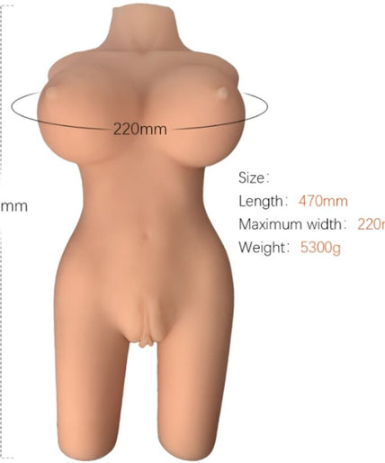 Armony – Realistic Female Torso Model 6 Armony – Realistic Female Torso Model 6