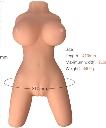 Armony – Realistic Female Torso Model 8 Armony – Realistic Female Torso Model 8