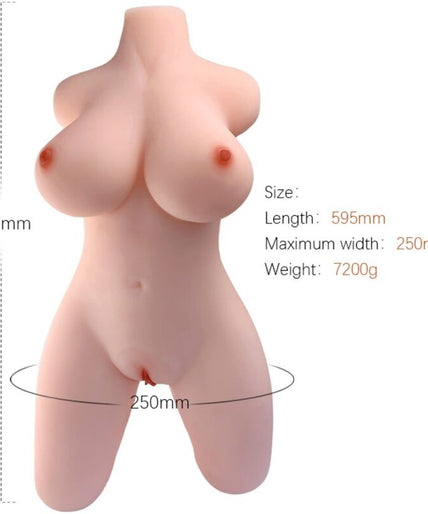 Armony – Realistic Female Torso Model 2 Armony – Realistic Female Torso Model 2