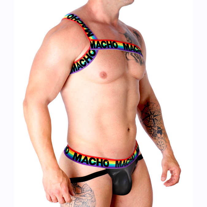 Macho – Römisches Geschirr Pride S/M