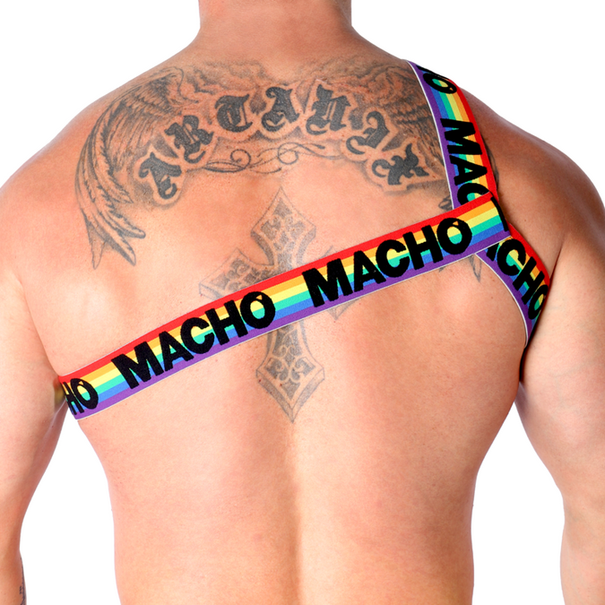 Macho – Römisches Geschirr Pride S/M