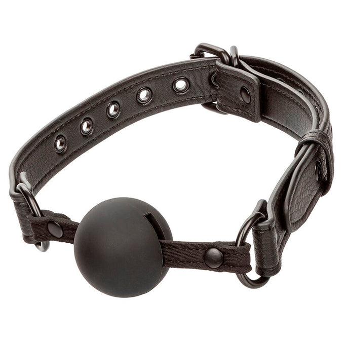 Calexotics – Nocturnal Ballknebel Silikon Schwarz