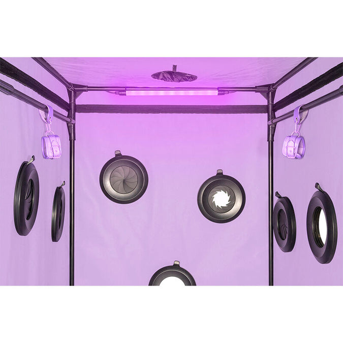 Secret Dome – Kink Club Cabin Scandale Purple