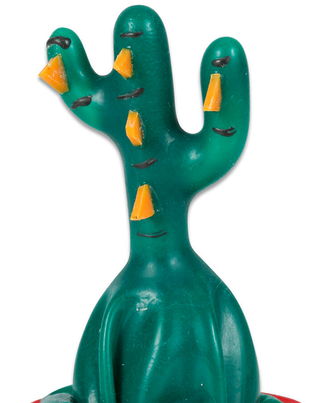 Condomerie – Handpainted Novelty Condoms Cactus Glued