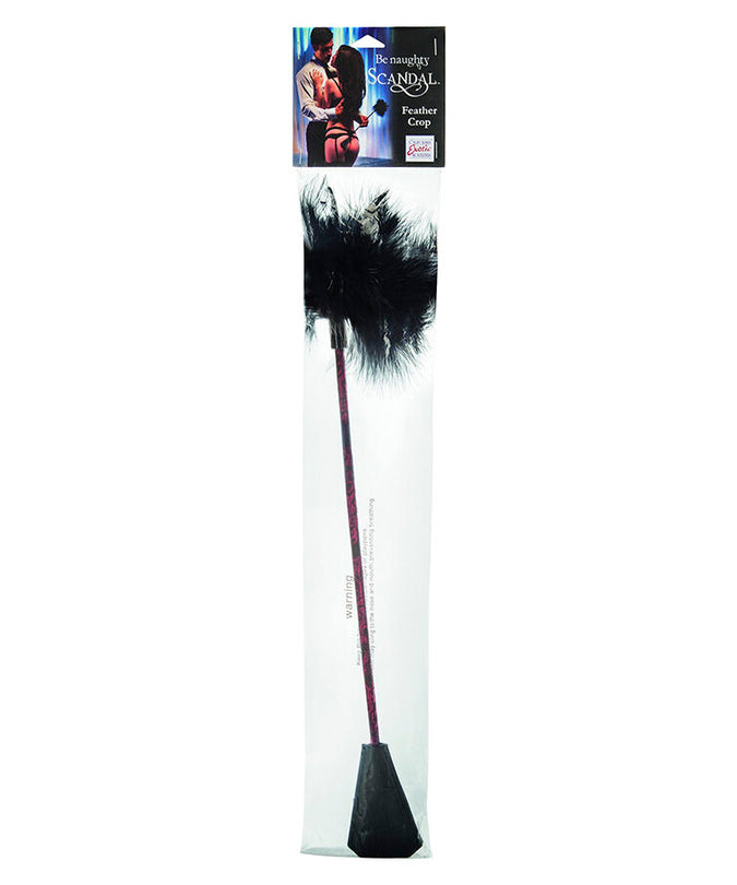 Calexotics – Scandal schwarze Federpeitsche