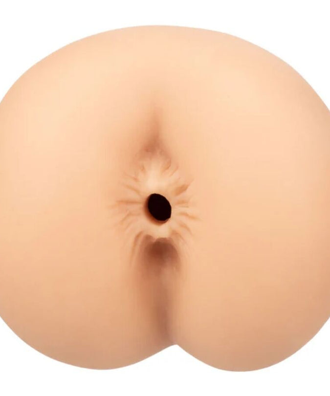 Calexotics – Boundless Anus
