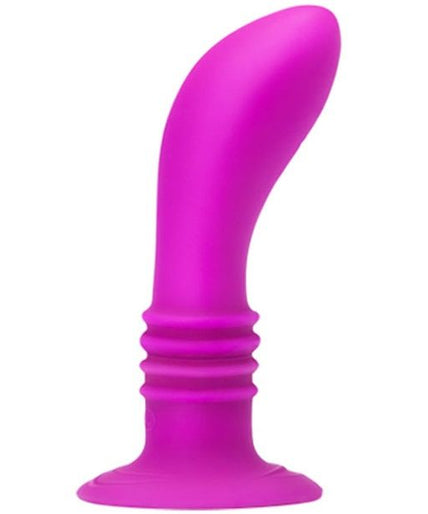 Pretty Love – Booty Passion Vibrator Plug 10v Pretty Love – Booty Passion Vibrator Plug 10v