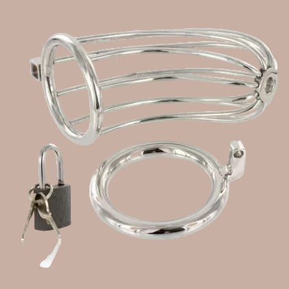 Metal Hard – Bird Chastity Cage