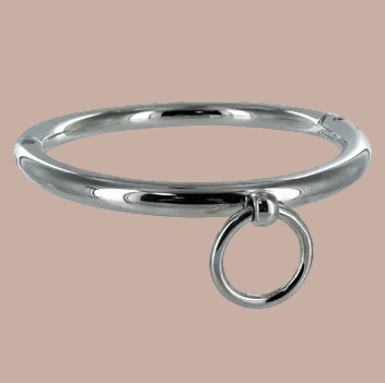 Metal Hard – BDSM Halskette mit Ring – 18cm – Edelstahl