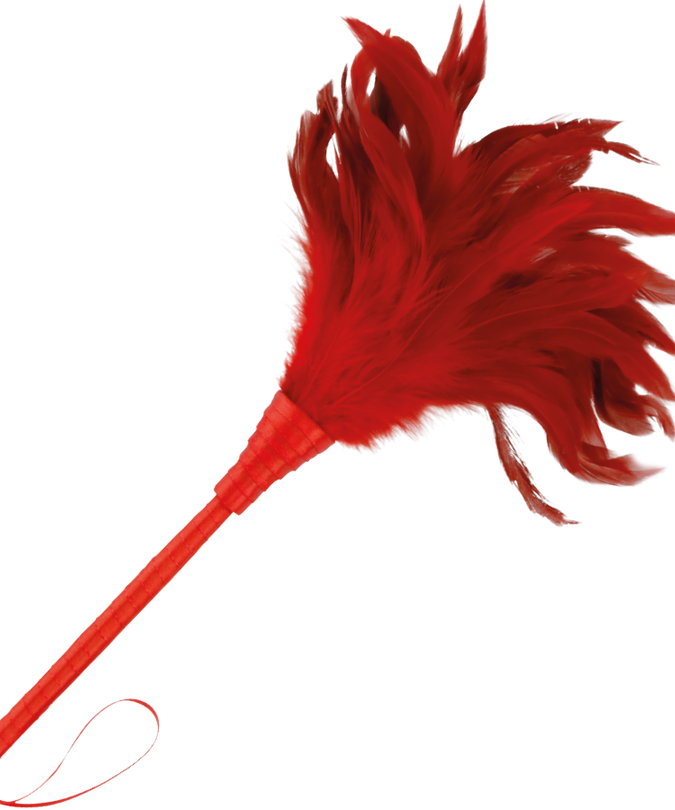 Darkness – Red Stimulating Pen 24 Cm