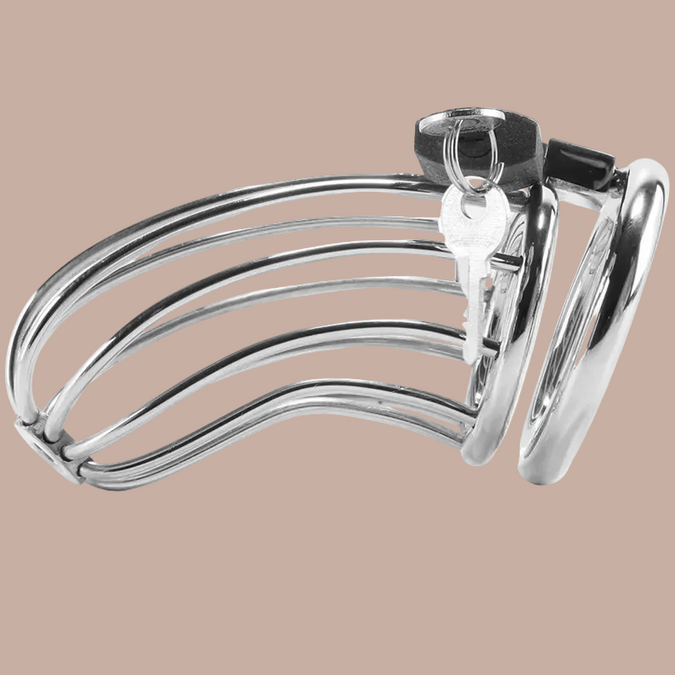 Metal Hard – Bird Chastity Cage