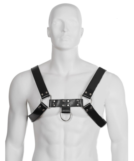 Leather Body – Ketten-Geschirr III Leather Body – Ketten-Geschirr III