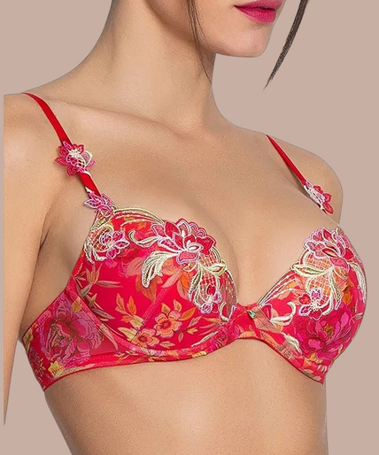 Lise Charmel – Foret Rubis Soft Gepolsterter BH Rubinrot - 60 % Rabatt! Lise Charmel Soft padded Bra Foret Rubis (Beautiful ruby red) - Pleasurements