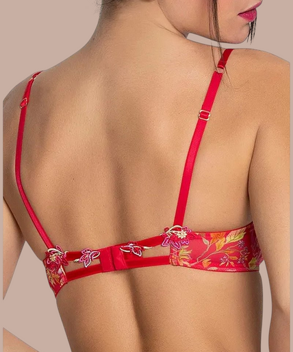 Lise Charmel – Foret Rubis Soft Gepolsterter BH Rubinrot - 60 % Rabatt! Lise Charmel Soft padded Bra Foret Rubis (Beautiful ruby red) - Pleasurements
