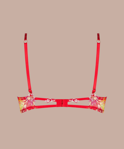 Lise Charmel – Foret Rubis Soft Gepolsterter BH Rubinrot - 60 % Rabatt! Lise Charmel Soft padded Bra Foret Rubis (Beautiful ruby red) - Pleasurements