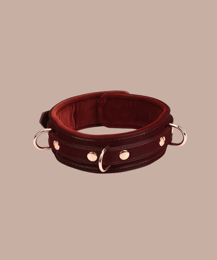 Liebe Seele – Veganer Metallic-Halsband mit Leine