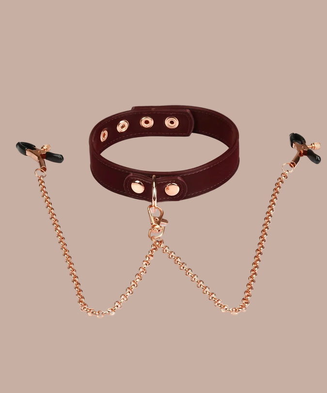 Liebe Seele – Veganer Metallic-Halsband mit Brustwarzenklemmen