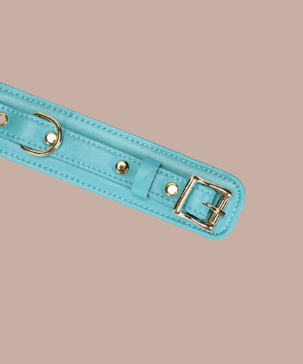 Liebe Seele Siren's Cove turquoise collar with gold-tone chain leash and matching handle.