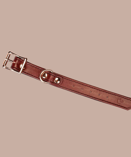 Liebe Seele Leder Halsband- und Handgelenksfessel-Geschirr-Set – Weinrot