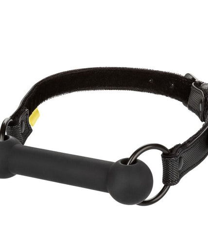 Calexotics – Boundless Knebel
