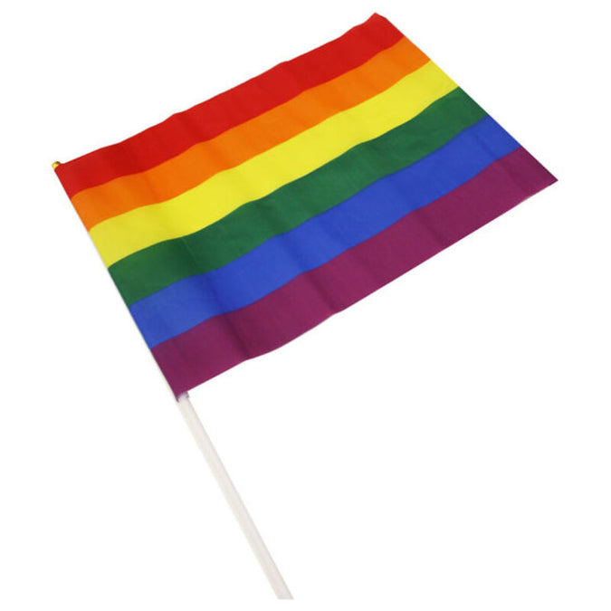 Pride – Medium vlaggenwimpel LGBT