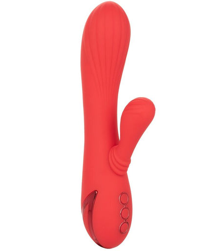 Calexotics – Palisades Leidenschaft Rot